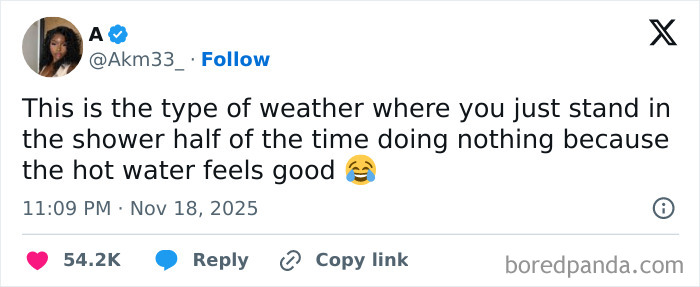 Screenshot of a relatable X post about enjoying hot shower weather, illustrating funny and relatable X posts from November.