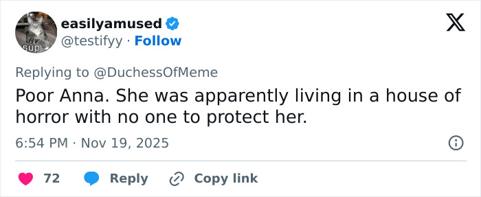 Tweet screenshot showing a user commenting on a teen slain on cruise and alleged affair with 15YO babysitter.