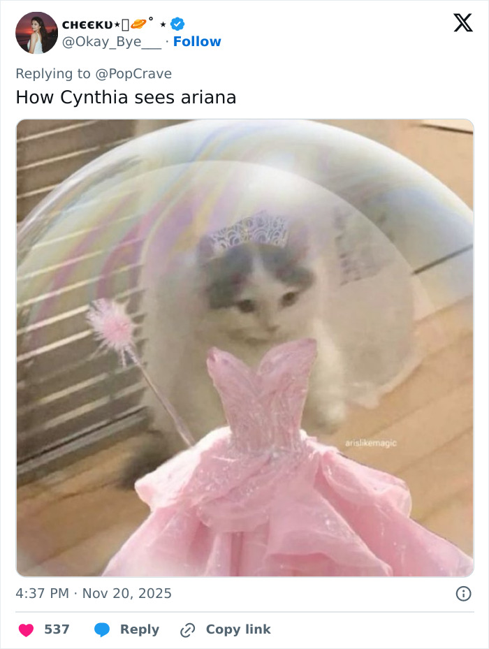 Cynthia Erivo Breaks Silence On Protecting Ariana Grande From Fan Attack At 'Wicked' Premiere Cynthia Erivo Breaks Silence On Protecting Ariana Grande From Fan Attack At 'Wicked' Premiere