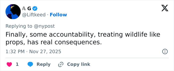 Screenshot of a tweet discussing accountability after an influencer snatched a baby wombat on camera and got arrested.