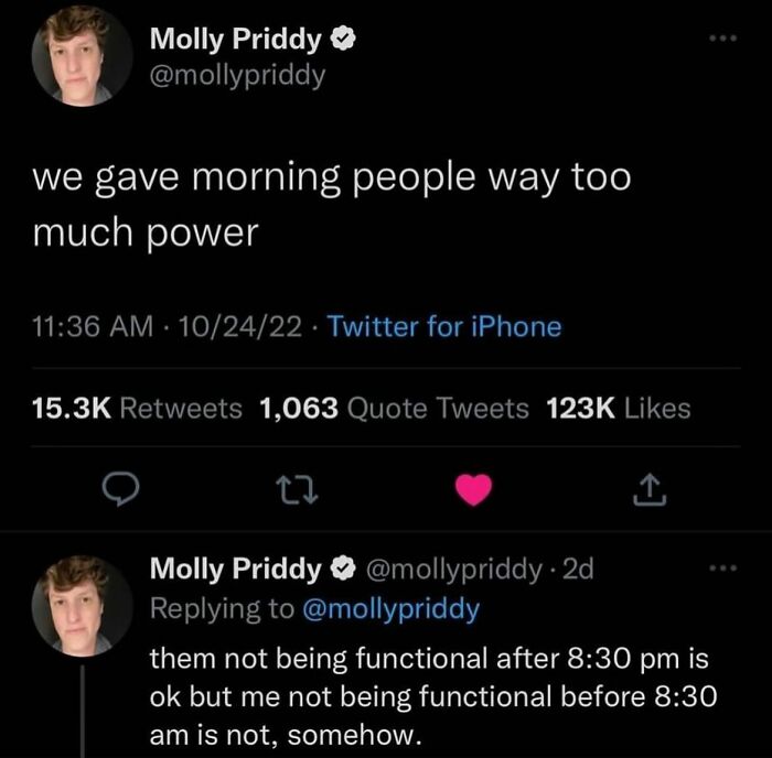 Screenshot of a funny tweet about morning people humor, shared in a collection of randomly funny memes.