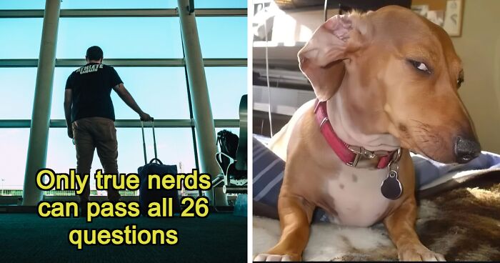 “Which Of These Is False?”: 26 Facts That Will Make You Second-Guess Everything