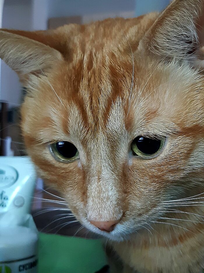 A Very Disappointing Year