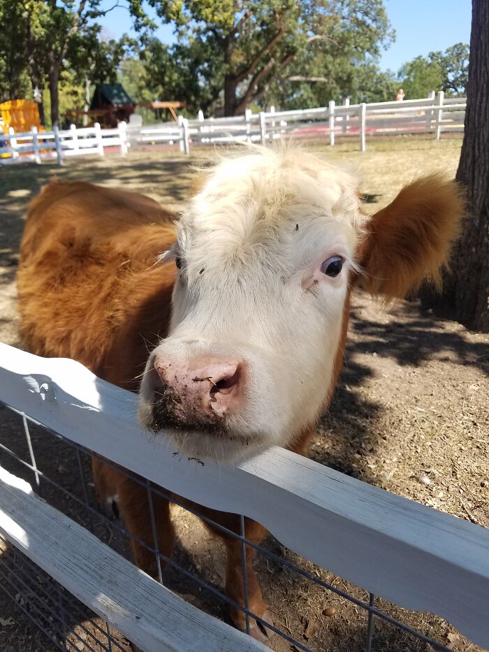 Dulce Looking Forward To Whats In 2026