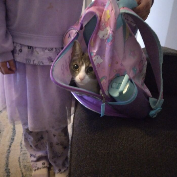 Just A Normal School Day