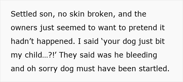 Text about negligent owners ignoring their dog biting a child and the mom regretting not speaking up about it. Text about negligent owners ignoring their dog biting a child and the mom regretting not speaking up about it.