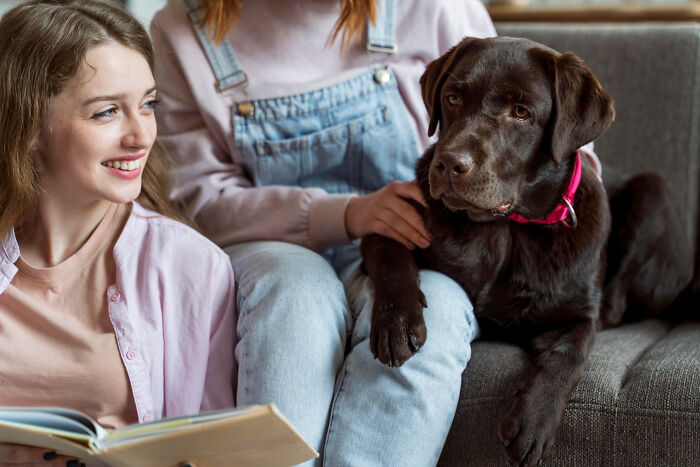 Two women sitting on a couch with a chocolate Labrador, showcasing most insane dog mom things and pet affection.