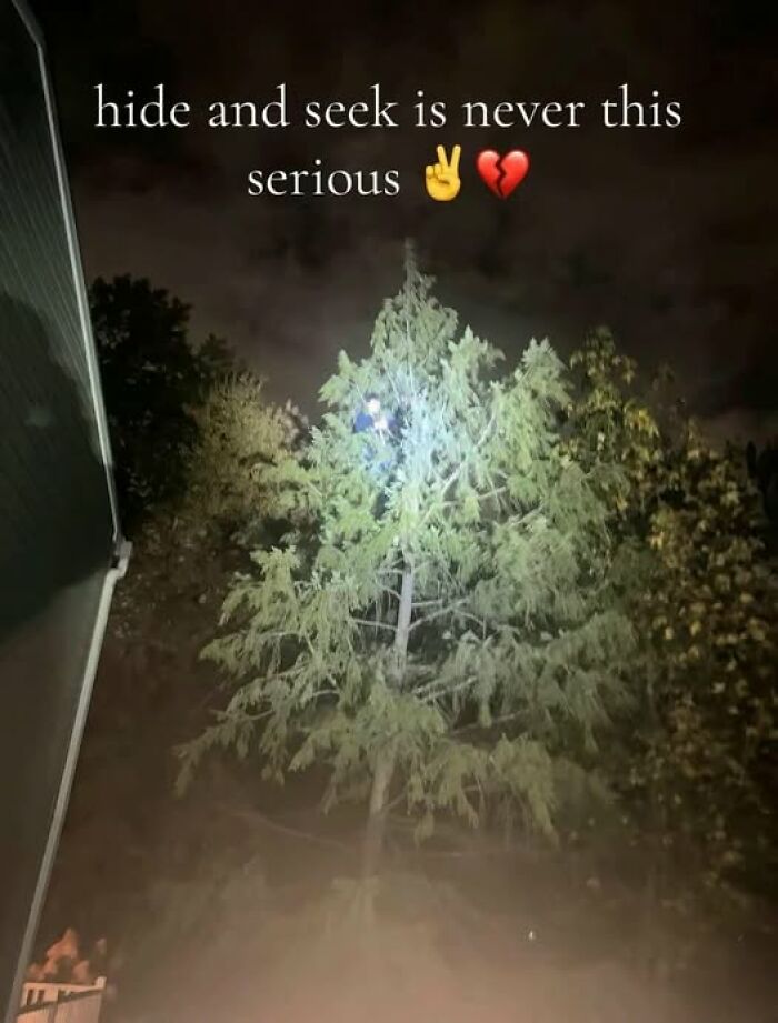 Tree illuminated at night with playful text overlay about hide and seek, featured in pics that go hard collection.