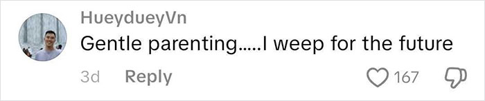 Comment from user HueydueyVn about gentle parenting and emotional response seen in a social media post.