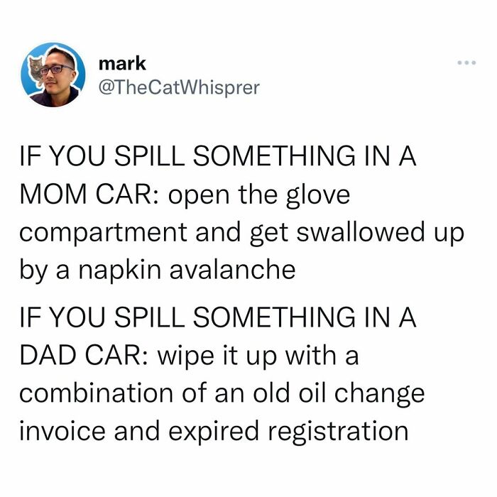 Tweet comparing how spills are cleaned differently in mom cars versus dad cars, highlighting relatable parenting humor.