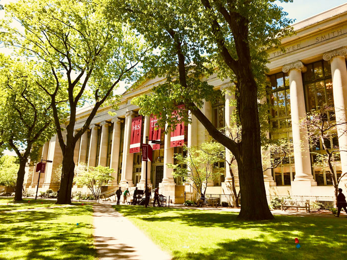 Historic academic building with tall columns and lush trees, captured in an Oscar-worthy performance of natural light and shadows.