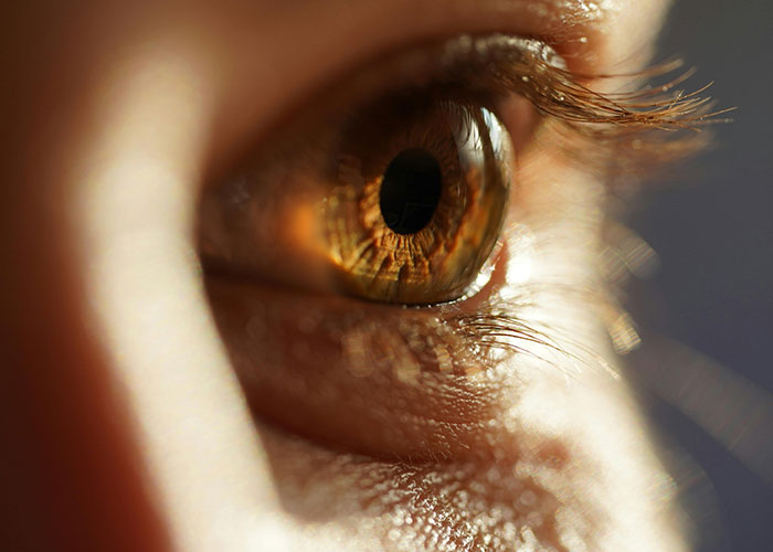 Close-up of a human eye reflecting light, symbolizing people discovering terrifying things found online.
