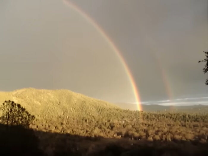 Double rainbow over a forested mountain landscape, capturing a rare natural moment that went viral and became an internet icon.