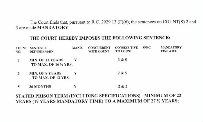 Court document showing mandatory prison sentences and terms related to man leaving 2-year-old daughter in burning car after crash. Court document showing mandatory prison sentences and terms related to man leaving 2-year-old daughter in burning car after crash.