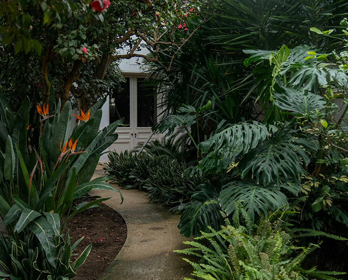 Lush garden pathway with dense greenery and vibrant flowers, setting the scene for woman&rsquo;s savage revenge on petty neighbor.