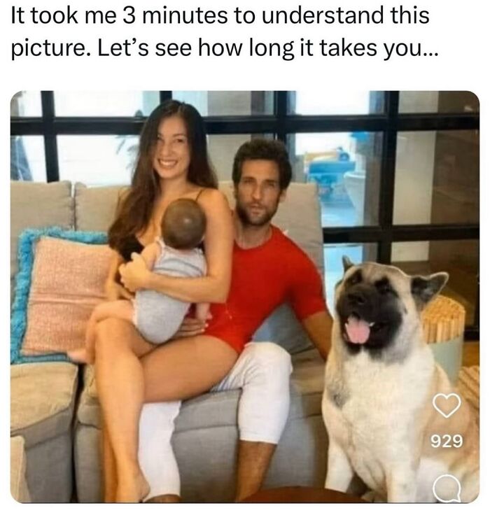 A funny meme with a man, woman, baby, and dog sitting together, creating a humorous optical illusion.