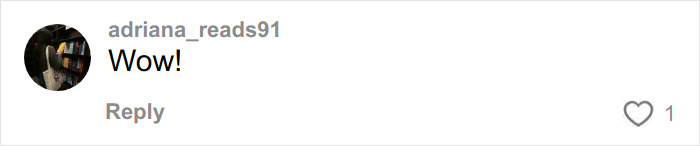 Screenshot of a social media comment by user adriana_reads91 reacting with the word Wow to an online post.