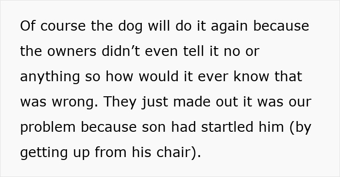Text explaining how negligent dog owners failed to discipline their dog after it bit a kid, causing regret. Text explaining how negligent dog owners failed to discipline their dog after it bit a kid, causing regret.