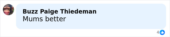 Comment on social media reading mums better with 4 reactions displayed on a white background.