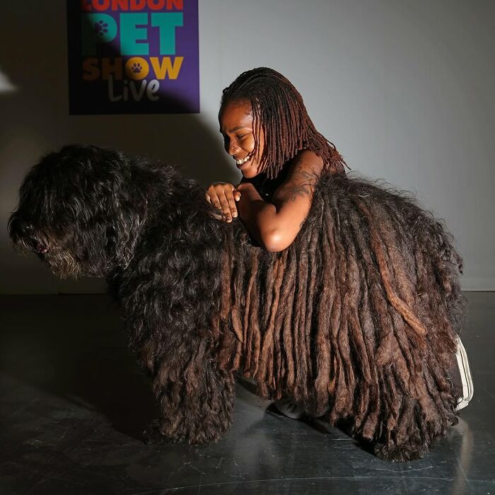 Woman with dreadlocks leaning on a large dog with similar long, thick, corded fur, showcasing pets and their humans look alike.