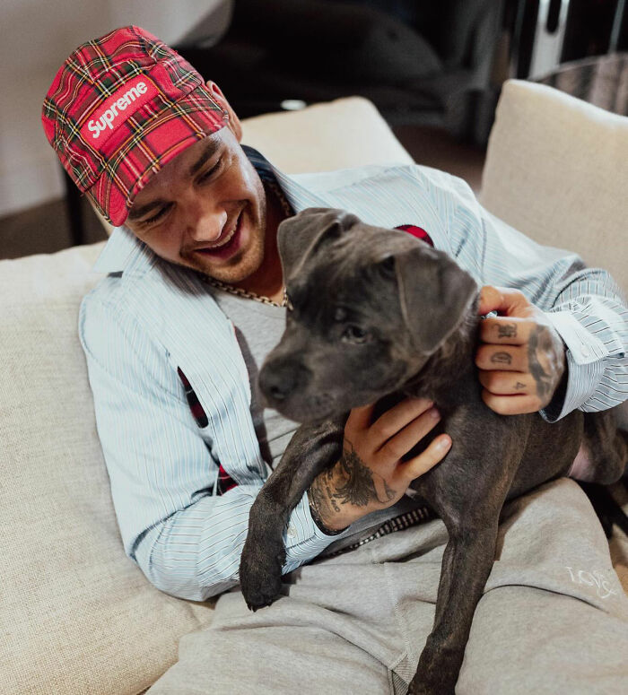 Liam Payne sitting on a couch, smiling and holding a black puppy, unrelated to Simon Cowell mental collapse discussion.