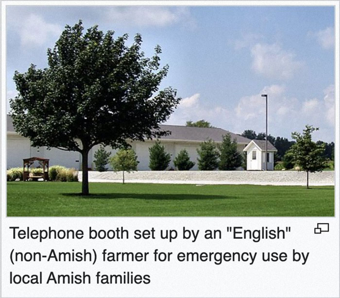 Telephone booth set up by a farmer for emergency use by Amish families, a funny gem found on Wikipedia shared online.