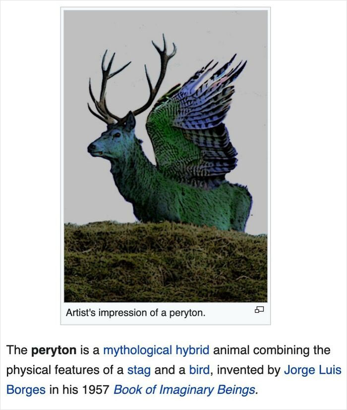 Artist's impression of a peryton, a mythological hybrid animal found in funny Wikipedia gems shared online.
