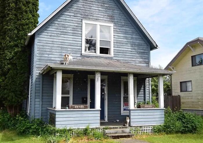 Blue two-story Zillow home with porch and cats on roof and steps, showcasing unique real estate listings to see and believe.