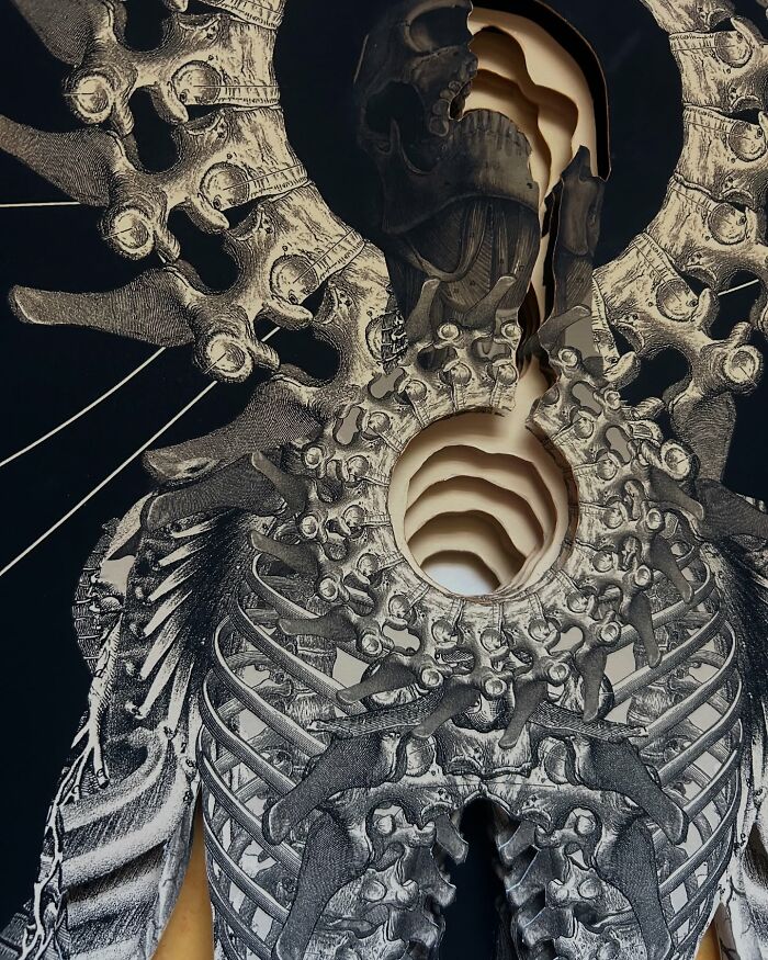 Intricate human skeleton collage with layered bones and organic patterns against a dark background with textured elements.
