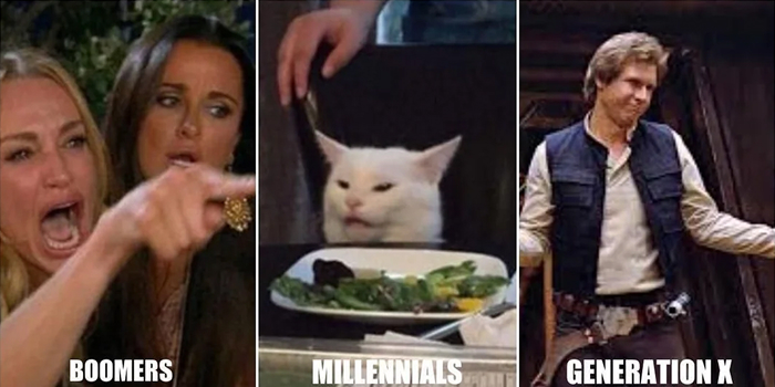 Meme showing confused millennials cat between arguing boomers woman and confident Generation X man referencing generation name chaos.