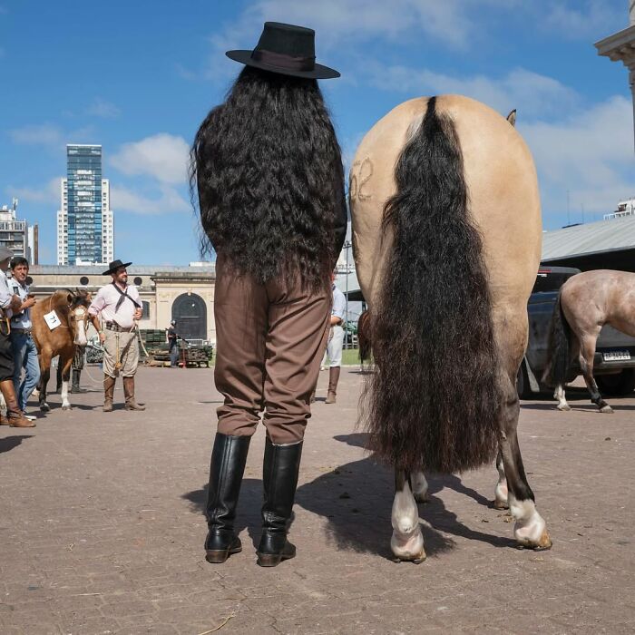 Person and horse with matching long black hair tails, showcasing pets and their humans looking shockingly alike.