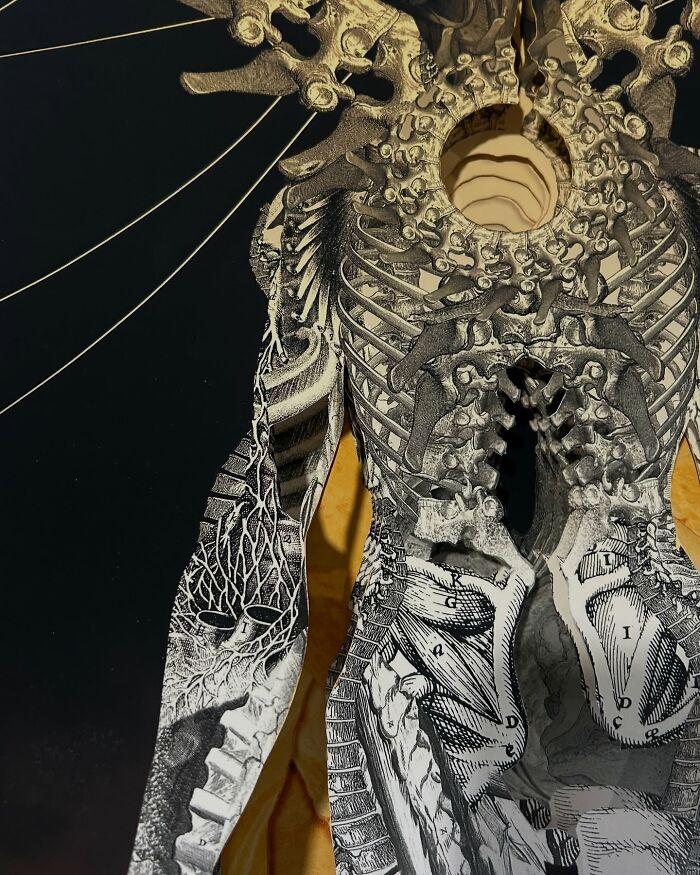 Intricate human skeleton collage with layered bones and organic patterns against a dark background with textured elements.