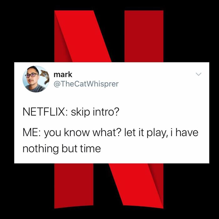 Parenting and marriage tweet showing Netflix skip intro prompt with humorous relatable reply about having nothing but time.