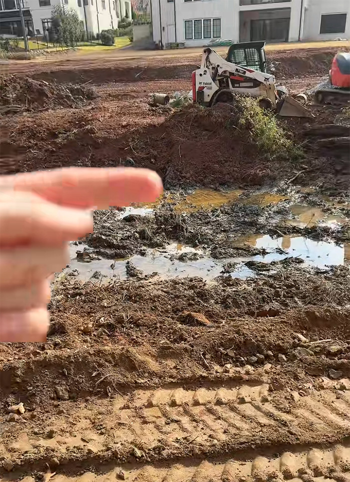 Woman pointing at muddy cleared land where bulldozers removed all trees, highlighting tree law dispute with neighbor.