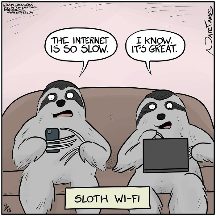 Witty comics by Nate Fakes featuring two sloths humorously discussing slow internet and sloth Wi-Fi on a couch.