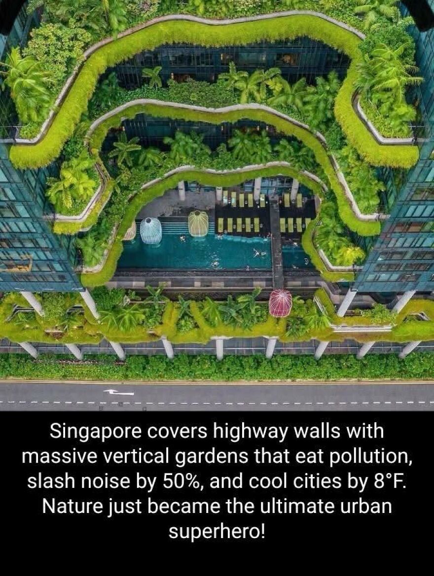 Aerial view of Singapore's vertical gardens on highway walls showing urban nature facts for learning new things.