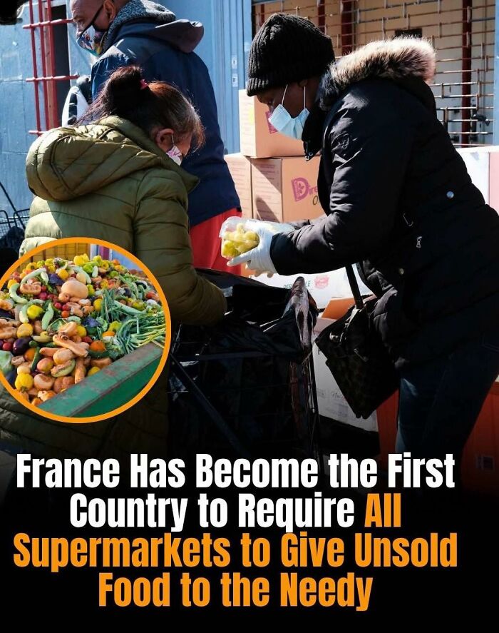 If You’re Hungry For New Knowledge, These 50 Facts Might Satisfy Your Appetite