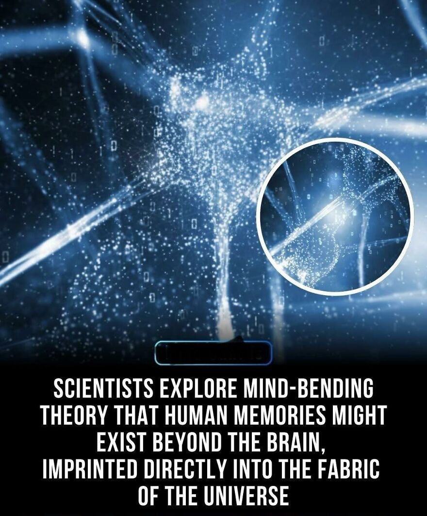 Abstract glowing network with binary code illustrating facts about human memories beyond the brain and the universe fabric.