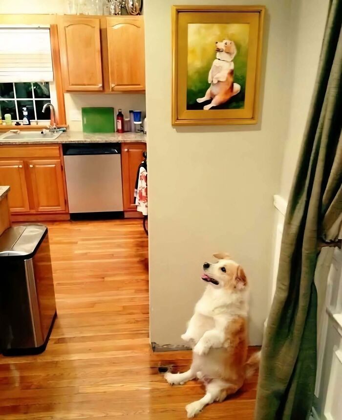Dog sitting upright on its hind legs in a kitchen next to a framed painting of the same pose, showing wholesome animal humor.