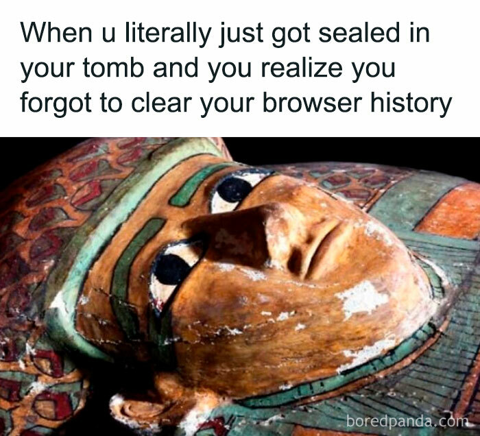 Ancient Egypt meme showing a colorful painted sarcophagus with a humorous caption about browser history in a tomb.