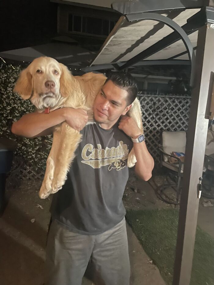 Man carrying large dog over his shoulders in backyard, one of the awkward photos of pets people shared online.