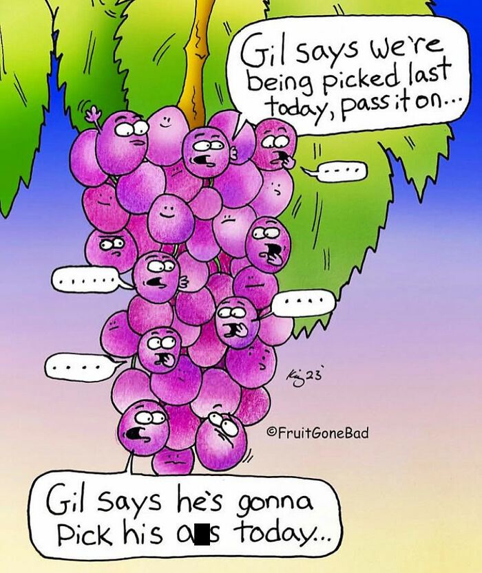 A funny comic of animated grapes with faces discussing being picked, showcasing humor in Fruit Gone Bad comics.
