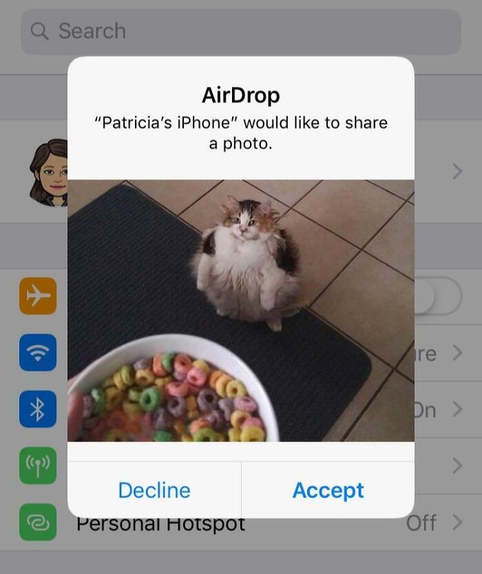 A fluffy cat looks up at a bowl of colorful cereal, capturing a moment of faith in humanity restored kindness.