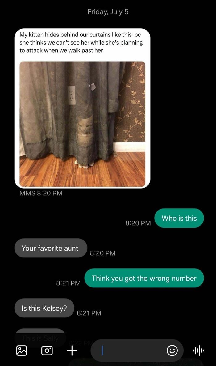 Text message exchange showing a funny wrong number confusion with a kitten hiding behind curtains.