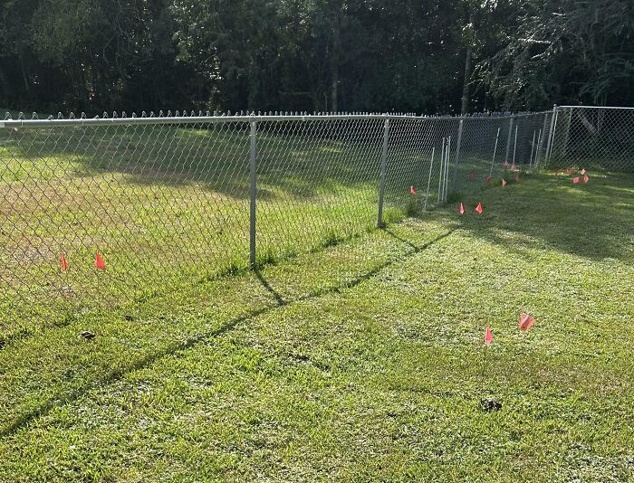 Chain-link fence with uneven posts and red flags on grass, highlighting people with zero common sense survival fail.