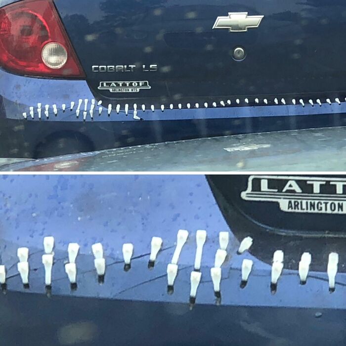 Blue Chevrolet Cobalt with numerous white plastic clips attached to the rear bumper, showing zero common sense fail.