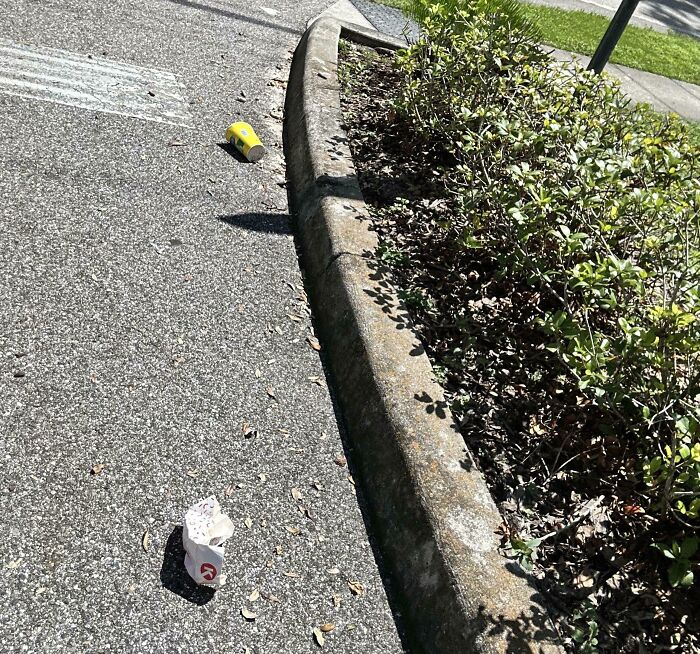 Trash scattered on pavement near curb and bushes, illustrating lack of common sense in public behavior.