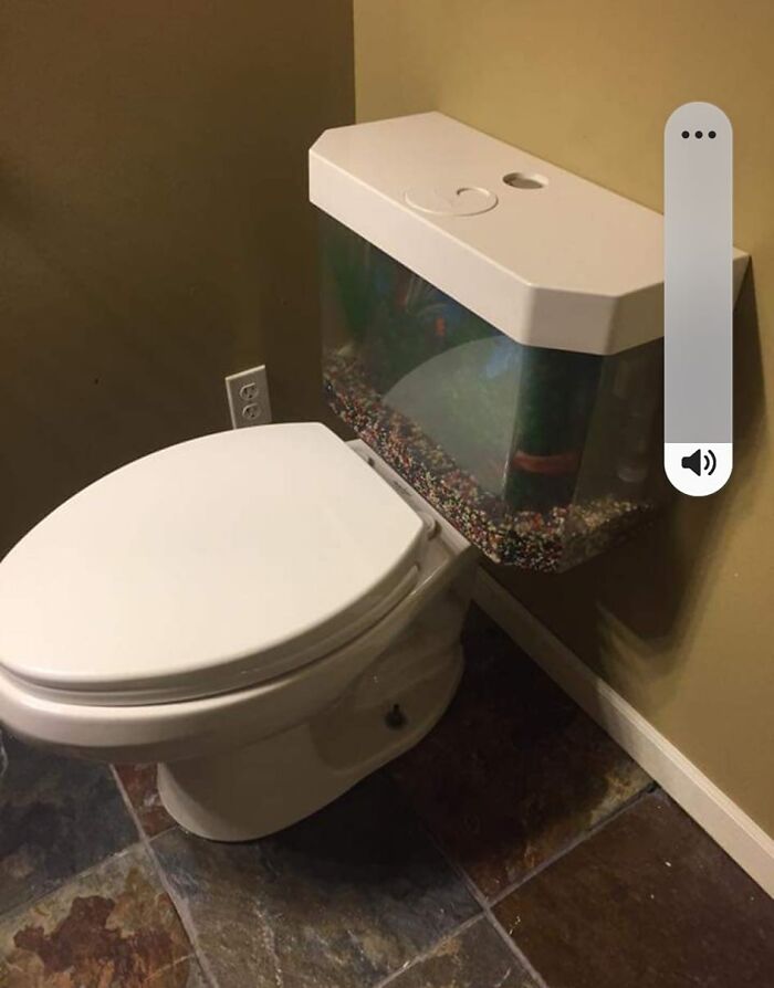 Unusual Zillow home bathroom with a toilet tank transformed into a fish tank in a tiled room.