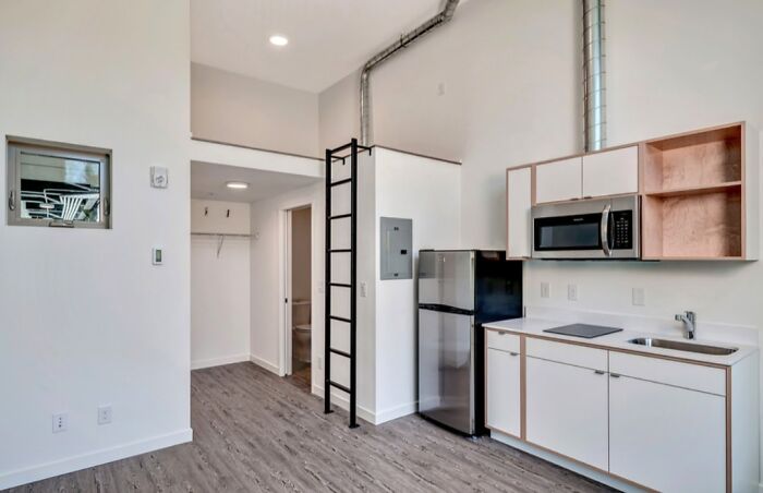 Modern studio kitchen with ladder and stainless steel appliances in a unique Zillow home you have to see to believe.