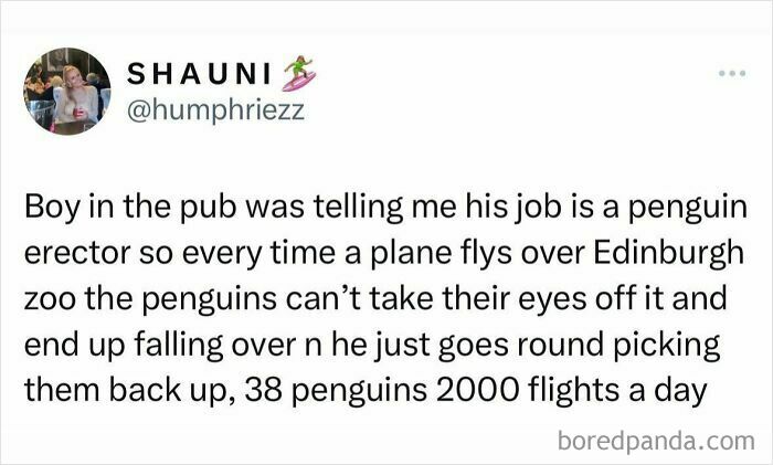 Tweet about a humorous Scottish post involving a job as a penguin erector at Edinburgh zoo with quirky details.
